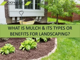 What is Mulch and Its types or Benefits For Landscaping