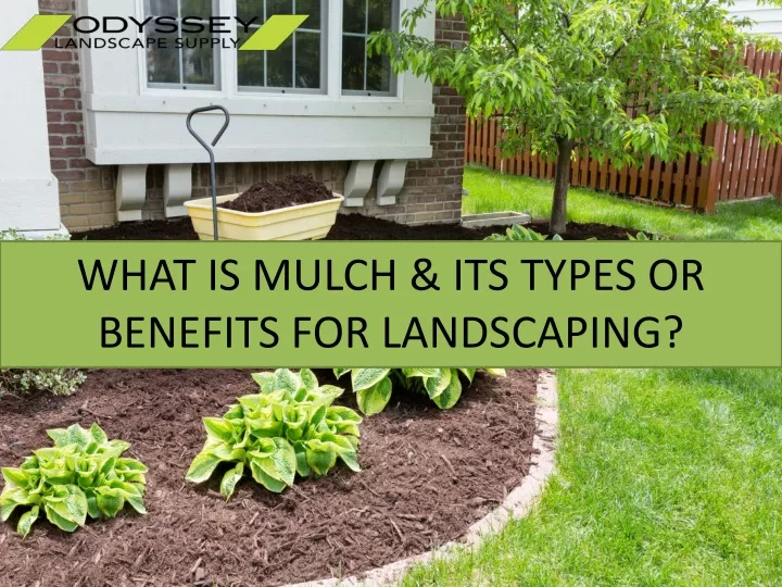 what is mulch its types or benefits