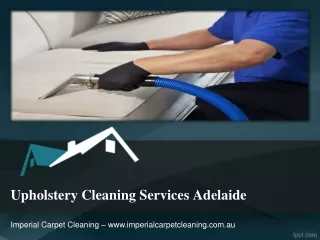 Upholstery Cleaning Services Adelaide Dt 