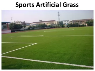 Sports Artificial Grass In Abu Dhabi