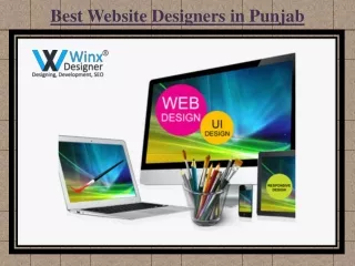 Web Designing Punjab