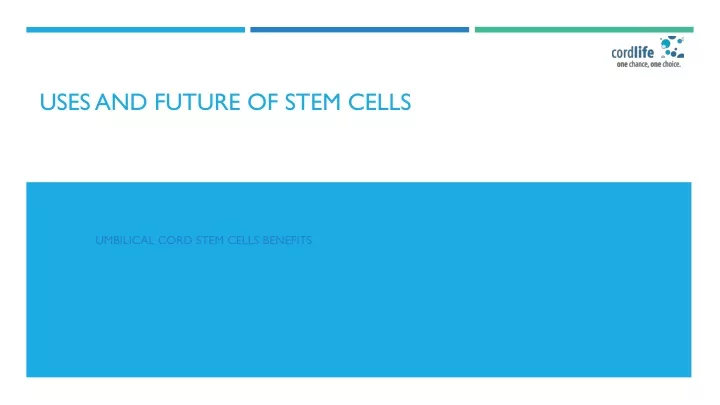 uses and future of stem cells