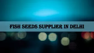 Fish Seeds supplier in Delhi