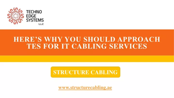 here s why you should approach tes for it cabling services