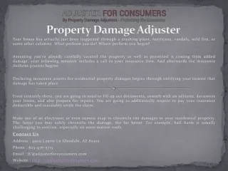 property damage adjuster