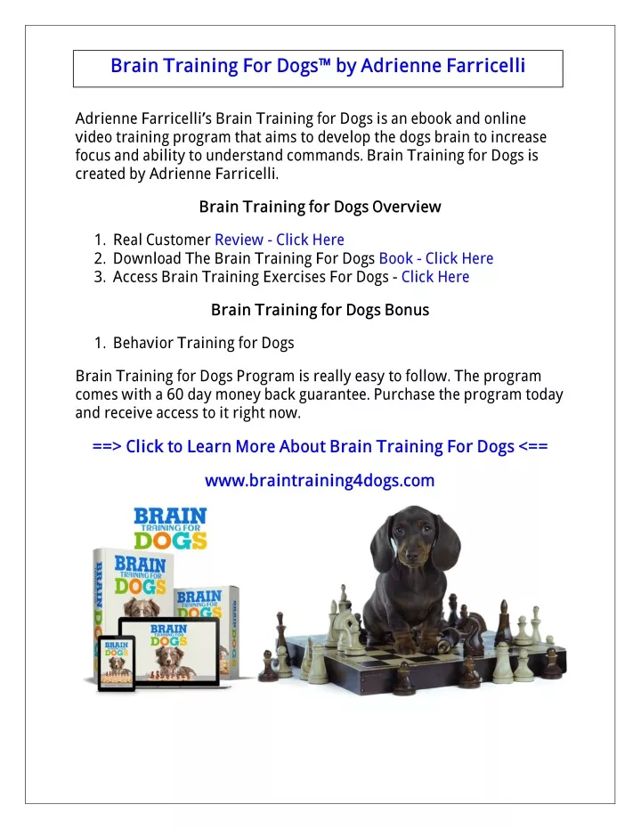 brain training for dogs by adrienne farricelli