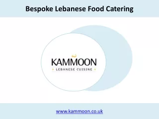 Bespoke Lebanese Food Catering - kammoon.co.uk