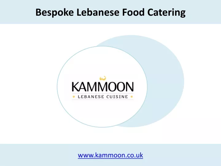 bespoke lebanese food catering