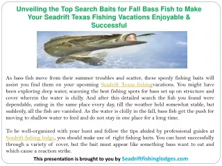 Unveiling the Top Search Baits for Fall Bass Fish to Make Your Seadrift Texas Fishing Vacations Enjoyable & Successful