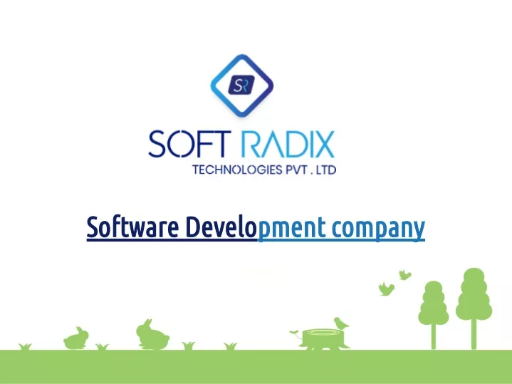 software develo pment company