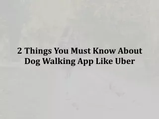 2 Things You Must Know About Dog Walking App Like Uber