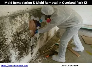 Mold Remediation & Mold Removal Service in Overland Park KS