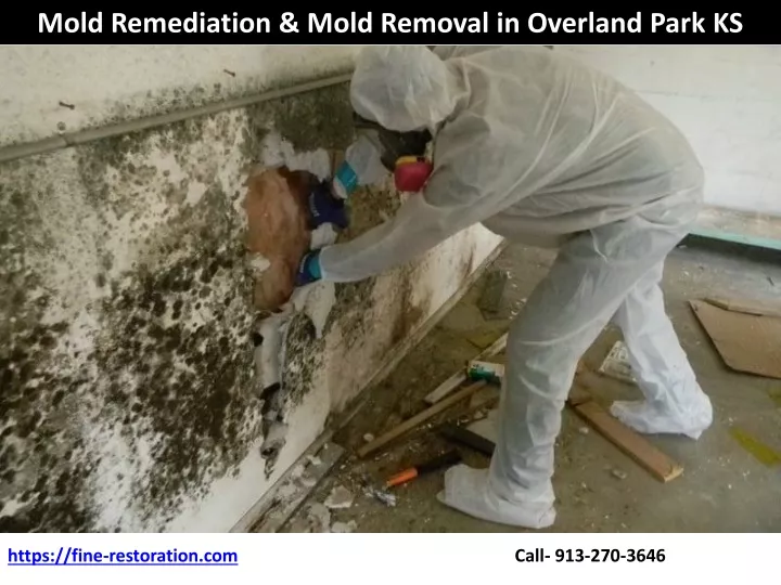 mold remediation mold removal in overland park ks