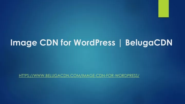 image cdn for wordpress belugacdn