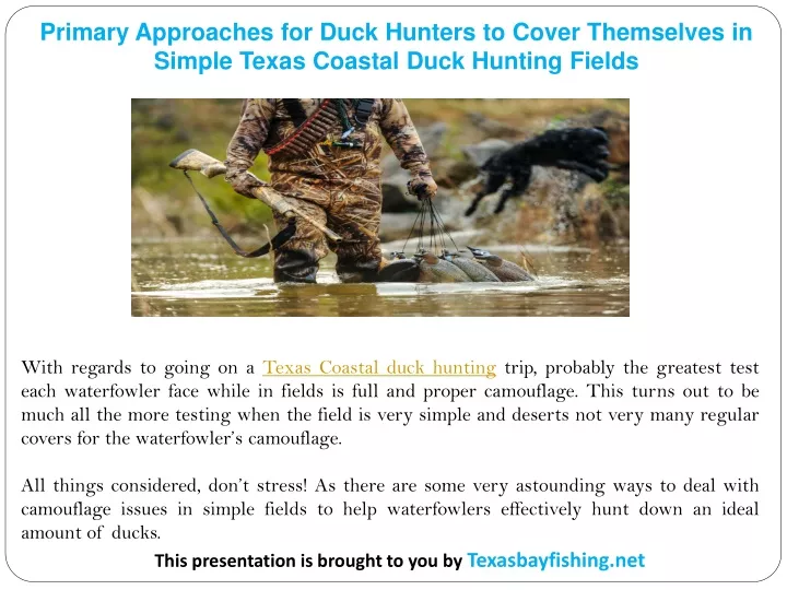 primary approaches for duck hunters to cover