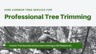 Hire Connor Tree Service for Professional Tree Trimming