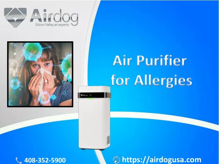 air purifier for allergies