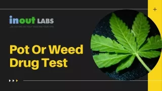 Pot Or Weed Drug Testing - InOut Labs