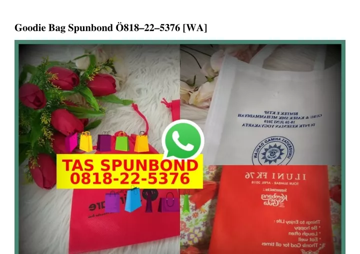 goodie bag spunbond 818 22 5376 wa