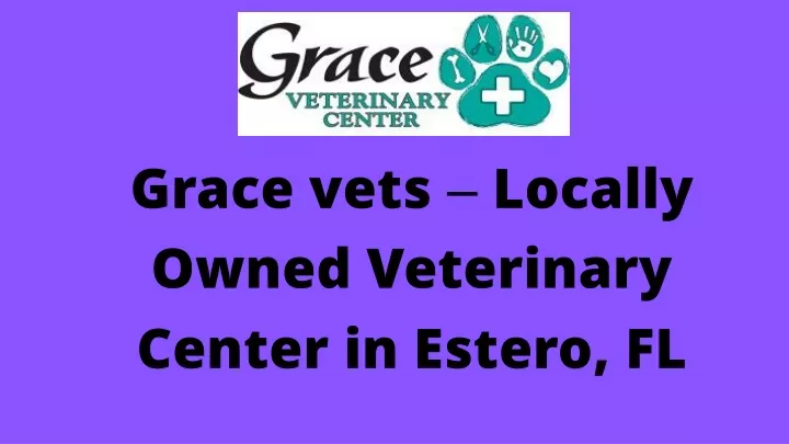grace vets locally owned veterinary center