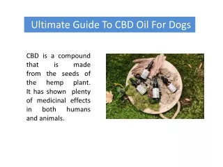 Ultimate Guide To CBD Oil For Dogs