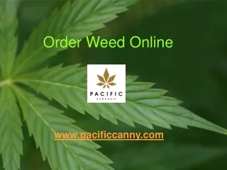 Order Weed Online - Pacific Canny