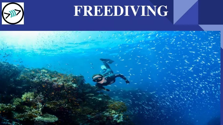 freediving