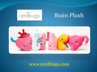 Brain Plush - nerdbugs.com