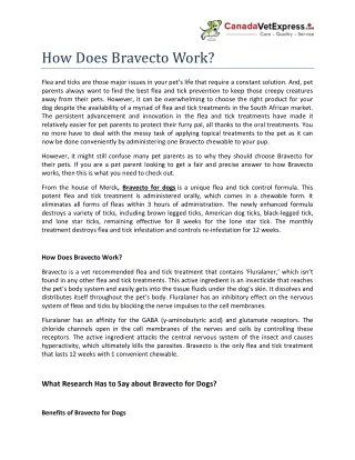How Does Bravecto Work?