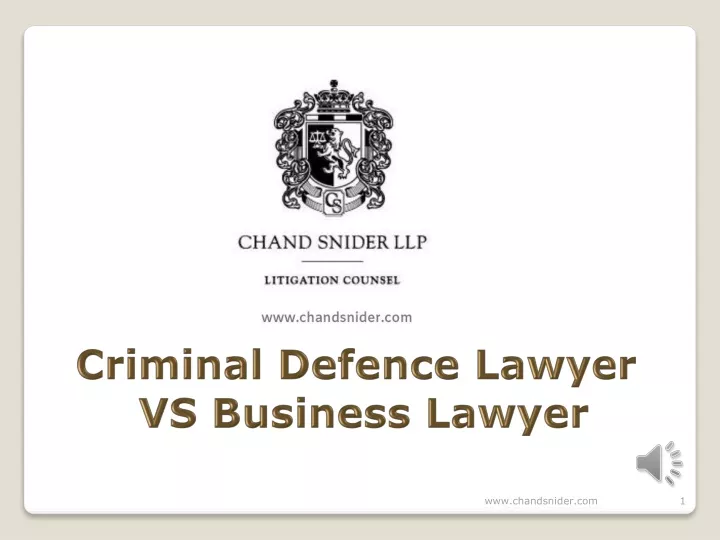 criminal defence lawyer vs business lawyer