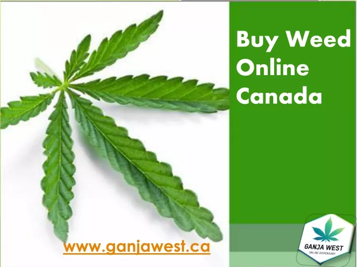buy weed online canada