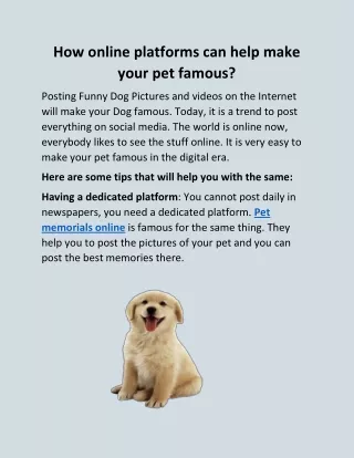 How online platforms can help make your pet famous?