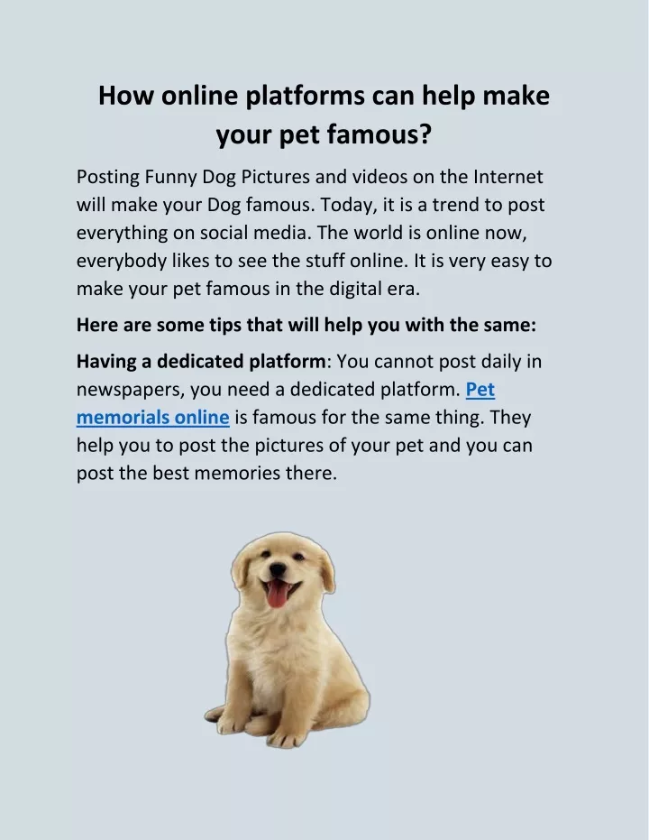 how online platforms can help make your pet famous