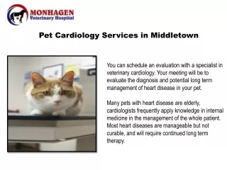 pet cardiology services in middletown