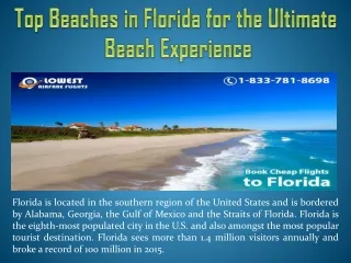 Top Beaches in Florida for the Ultimate Beach Experience