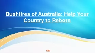 Bushfires of Australia: Help Your Country to Reborn