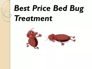 The trained insect killer for the best bed bug treatment