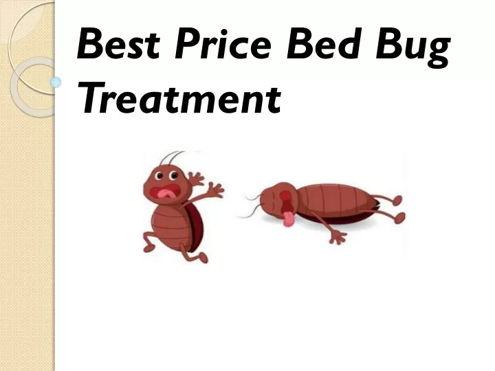 best price bed bug treatment