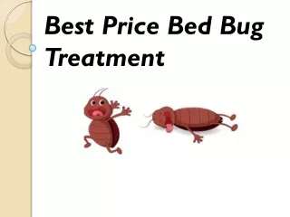 Chemical free bed bug treatment | Natural bed bug remedies
