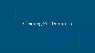 Cleaning For Dummies