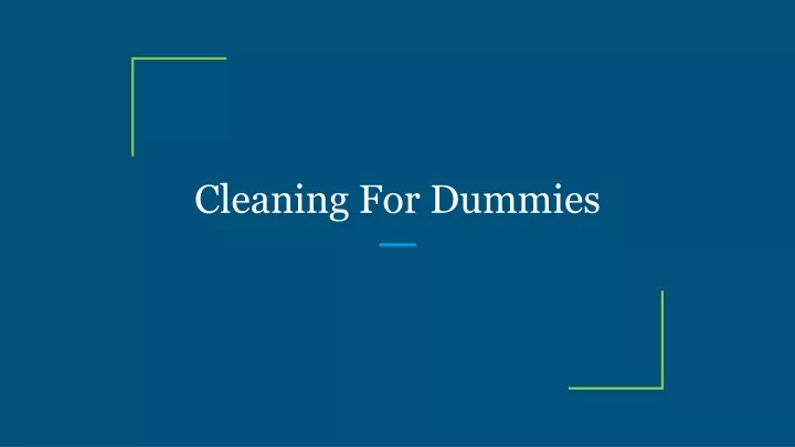 cleaning for dummies