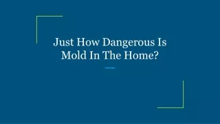 Just How Dangerous Is Mold In The Home?