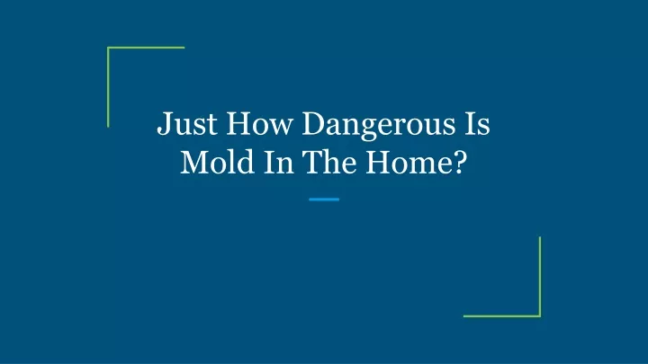 just how dangerous is mold in the home