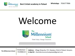 Best Cricket academy in Palwal