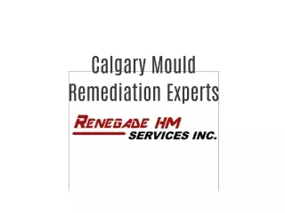 Calgary Mould Remediation Specialists | Renegade HM Services Inc.