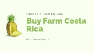 Buy Farm Costa Rica