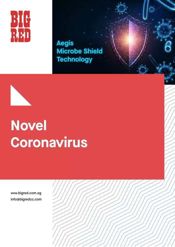 novel coronavirus