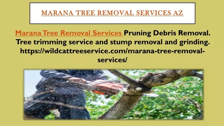 marana tree removal services az