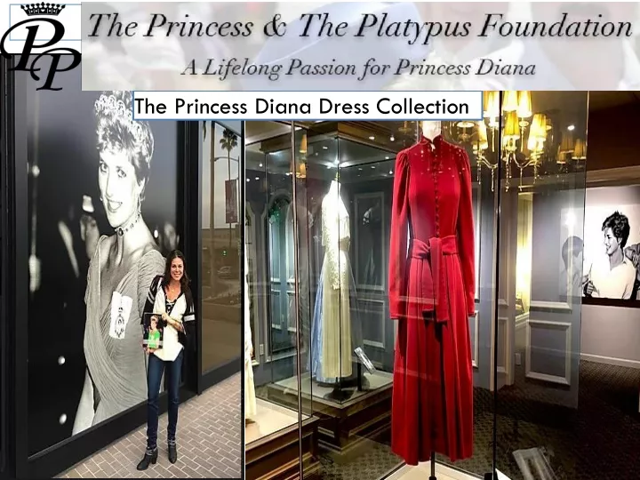 the princess diana dress collection