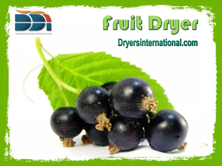 fruit dryer